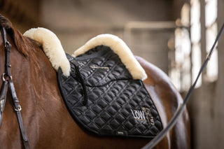 TORPOL® Saddle Pad EVO Magnetic Field Nelson™ Jumping/Dressage