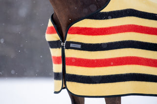TORPOL® Whitney wool sweat rug