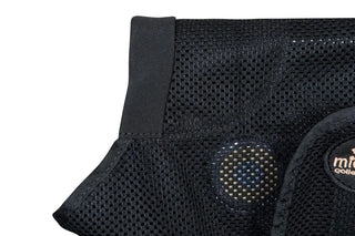 TORPOL® Magnetfeld Hundedecke
