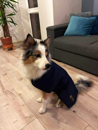 TORPOL® Softshell Hundedecke