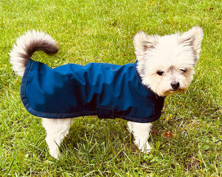 TORPOL® Softshell Hundedecke