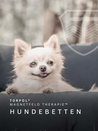 Hundebetten & Hundematten