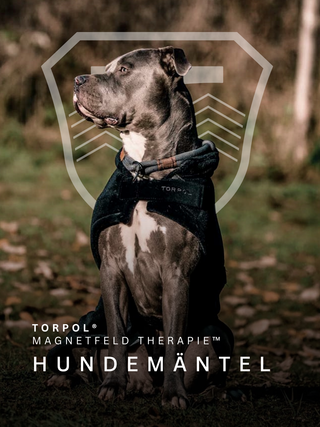 Hundemantel