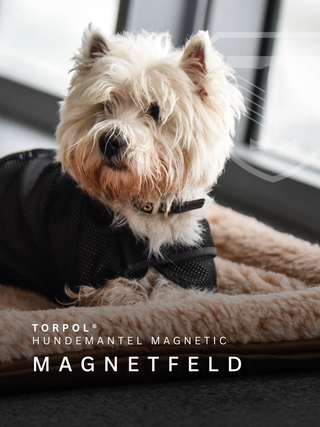 TORPOL® Magnetfeld-Hundedecke – Regeneration für Hunde