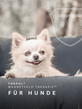 Zubehör für Hunde