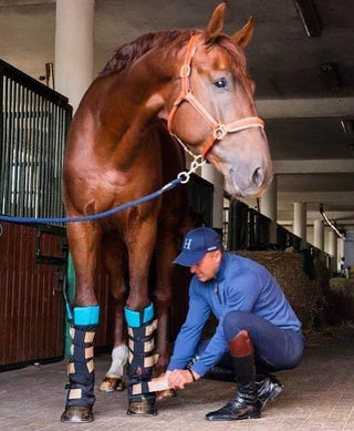 TORPOL® stable boots - LegCare™ magnetic field 