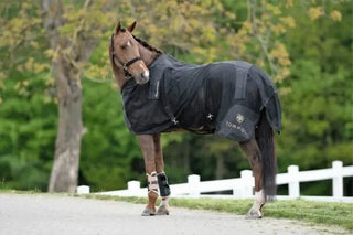 TORPOL® Magnetic Field Therapy Horse rug 