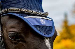 TORPOL® earnet with logo made of Swarovski crystals