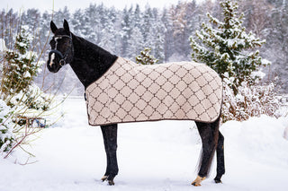 TORPOL® Abschwitzdecke zum Wenden aus Wolle