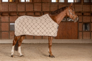 TORPOL® Abschwitzdecke zum Wenden aus Wolle