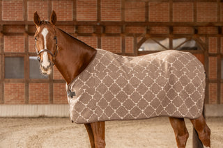 TORPOL® Whitney wool sweat rug 